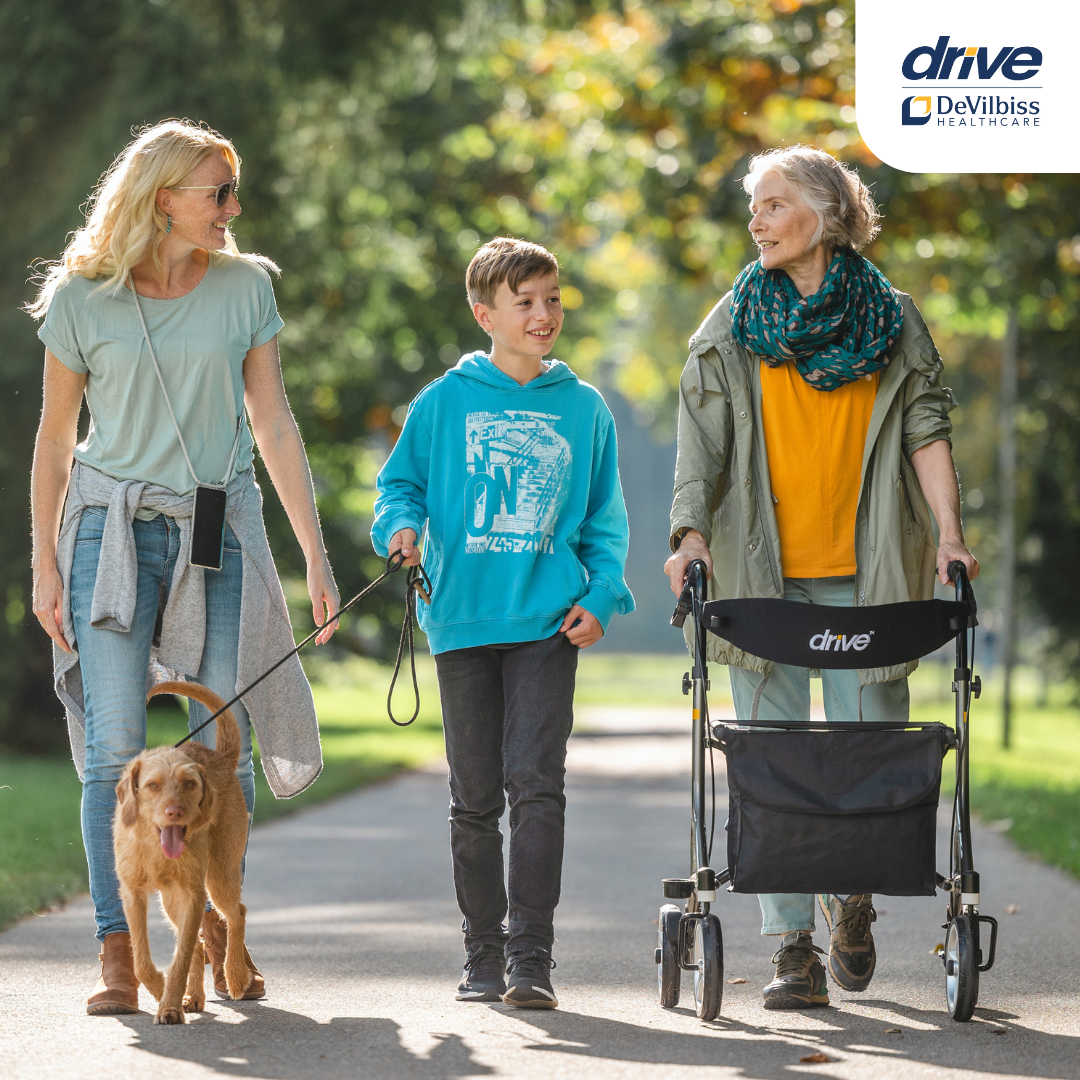 דרייב ניטרו