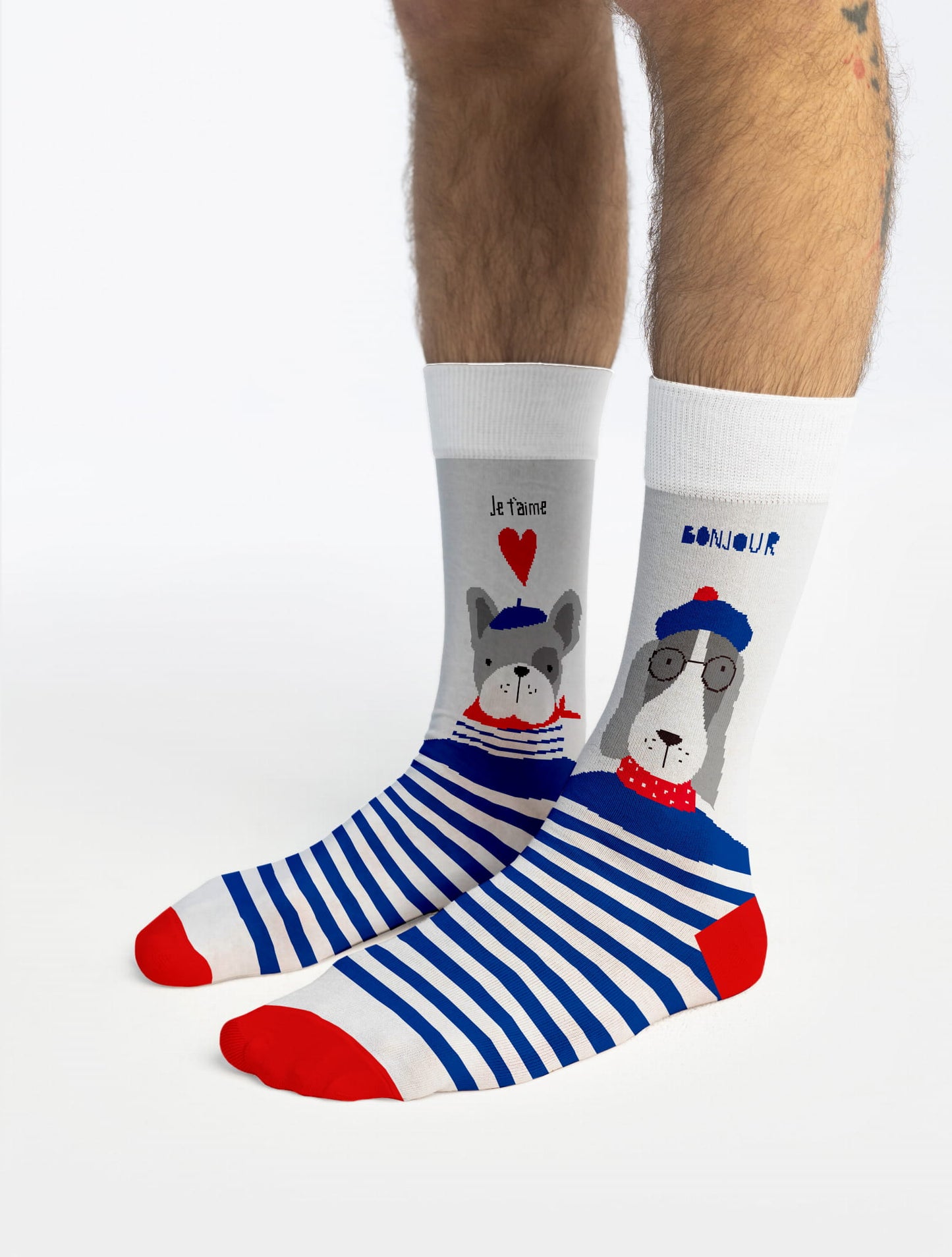 Banana Socks | גרבי כותנה בהדפס כלבים צרפתיים